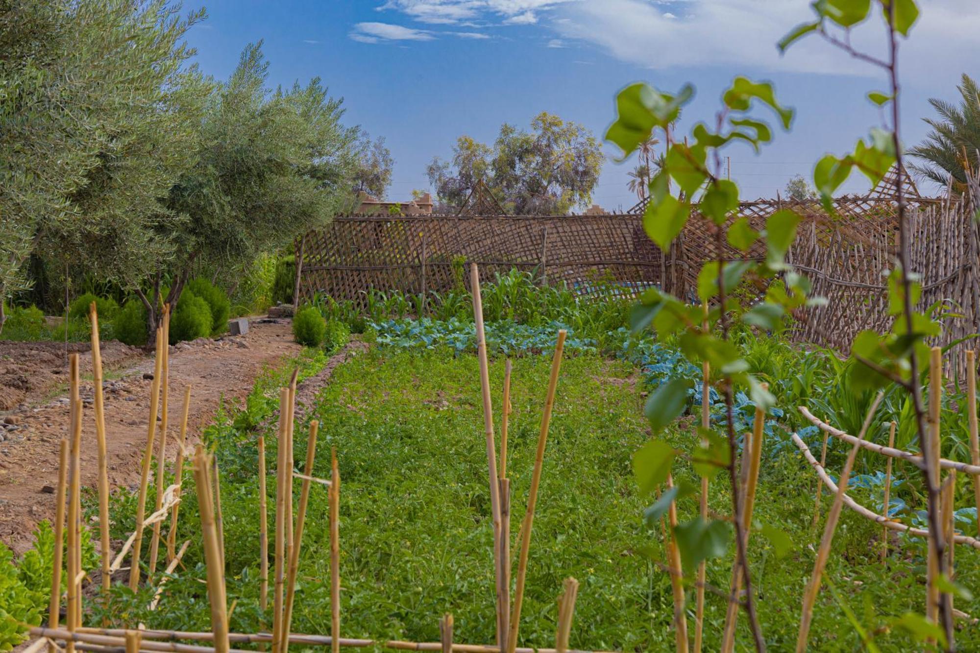 Maison D'hôte Amridil Skoura Exterior foto