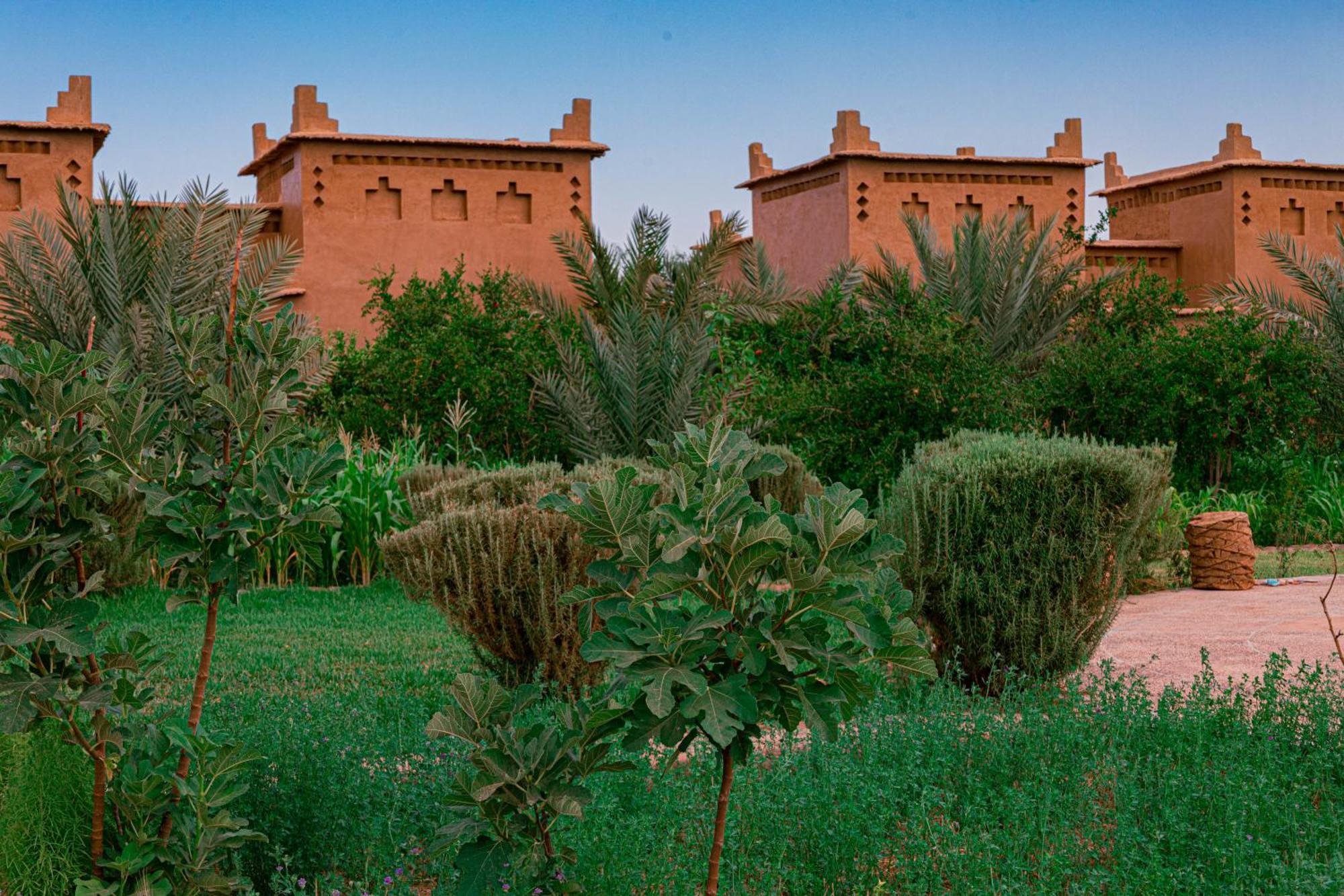 Maison D'hôte Amridil Skoura Exterior foto